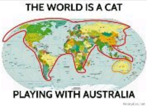 Cat-Australia.jpg