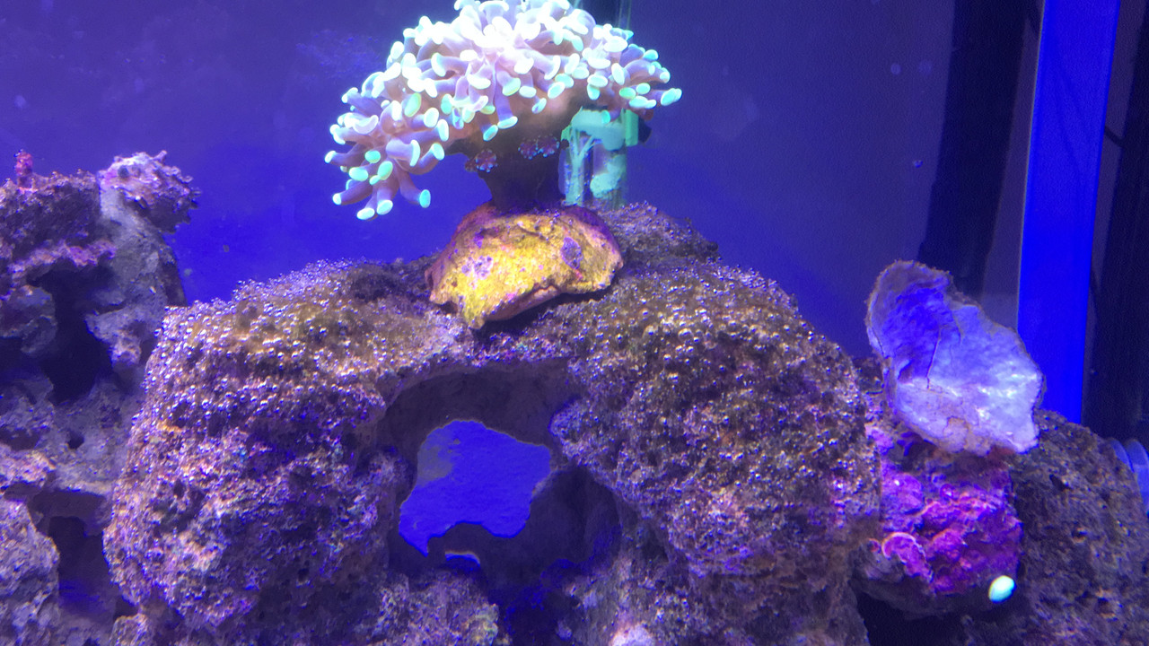 21996627-2080-4092-BC10-7A12C68652AB