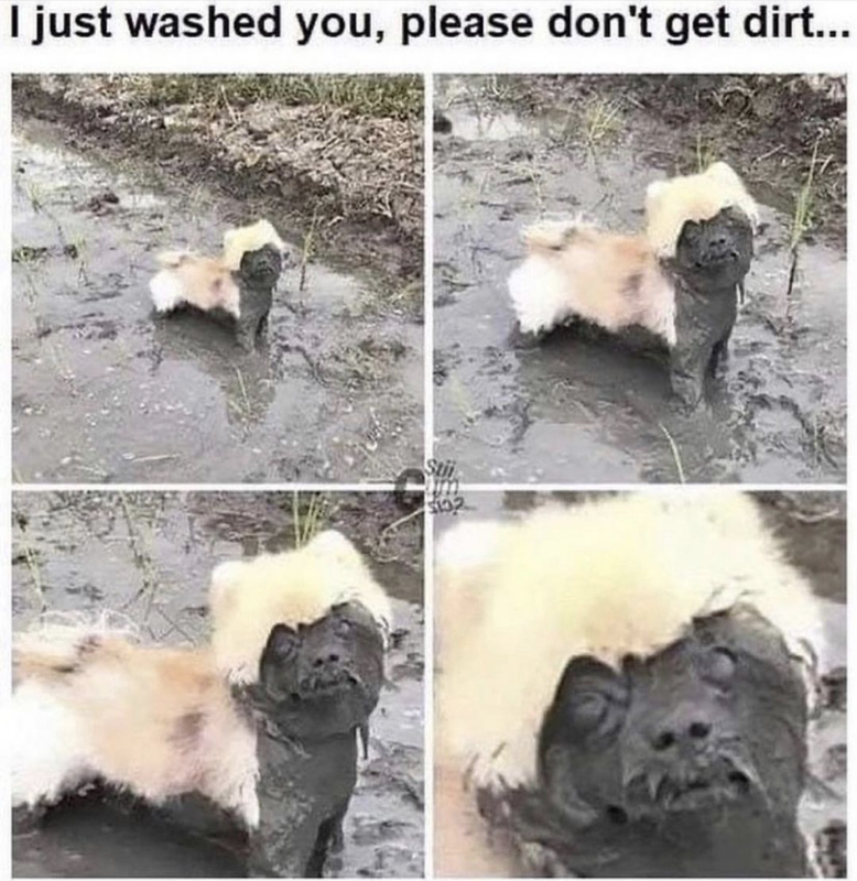 Screenshot 2023-10-07 at 13.02.34