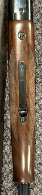 5ED62A8F-3426-464D-A167-B218D91B141F