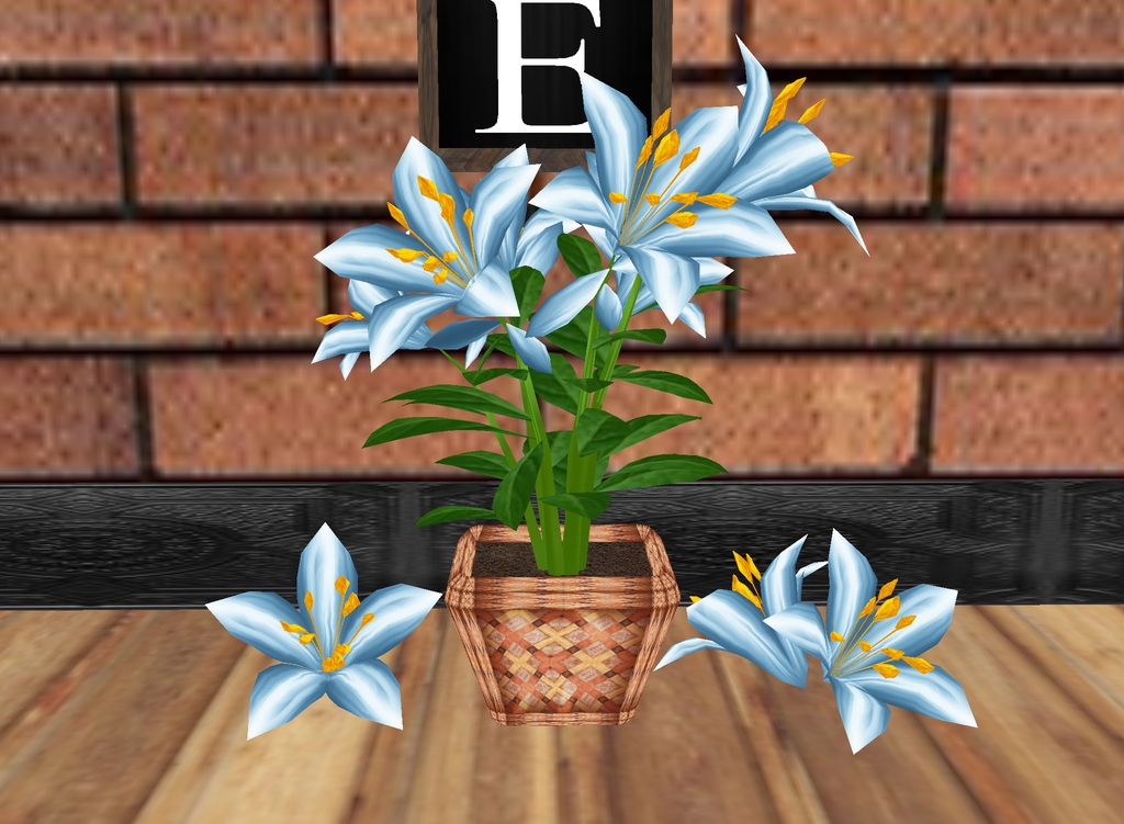 Blue-Lily-Potted-Plant