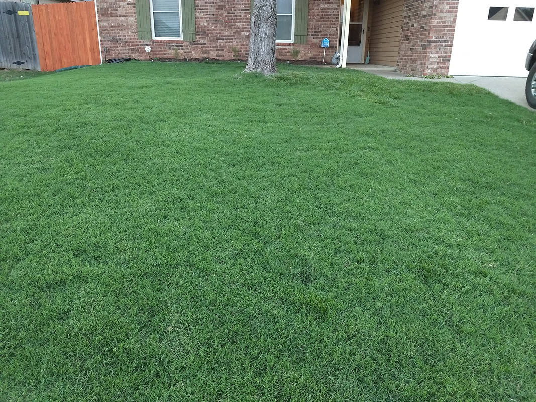 IMG_20180512_201306446