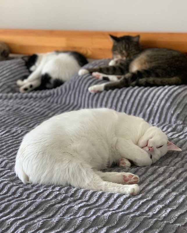 8E8C0934-2988-4014-B15C-C2CBA18D2939