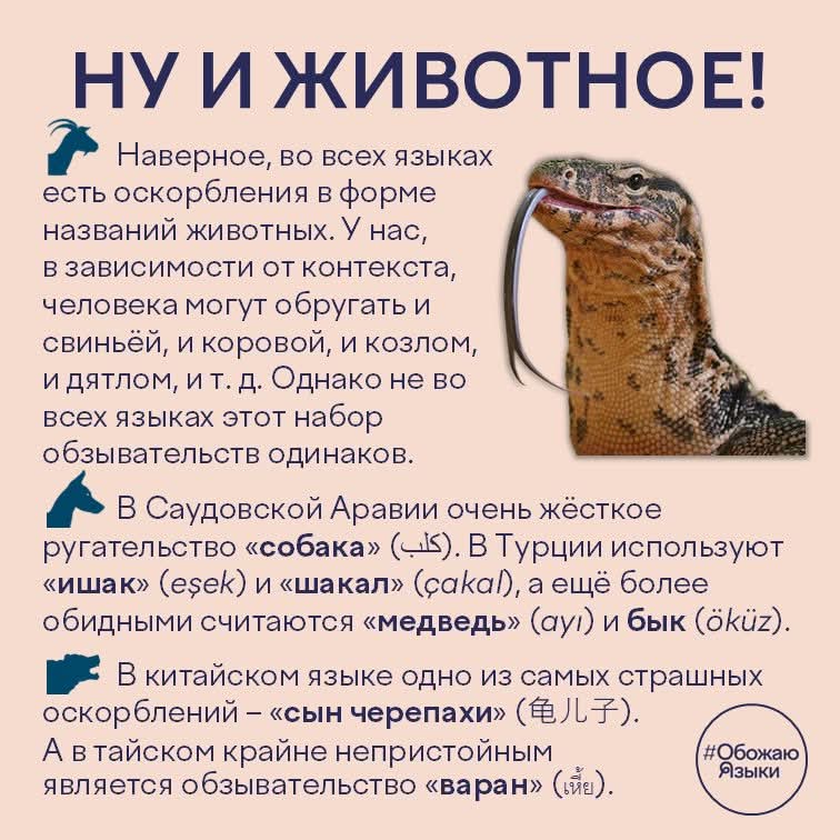 https://i.postimg.cc/kXfRRJ12/1000070589.jpg