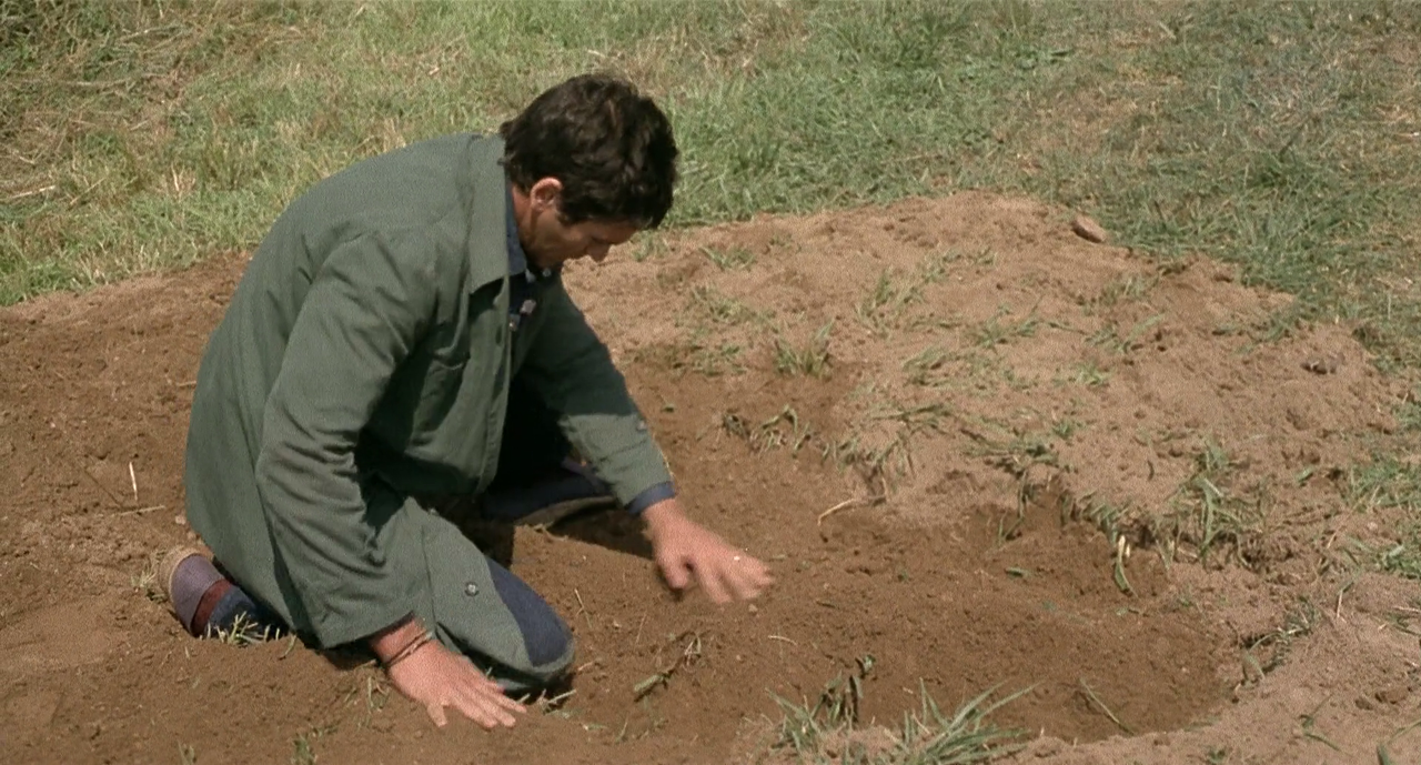 vlcsnap-2023-03-19-10h16m45s033