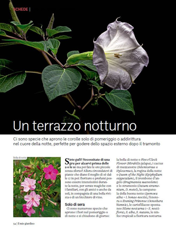 Il Mio Giar GIu-Lug 2024 (3)