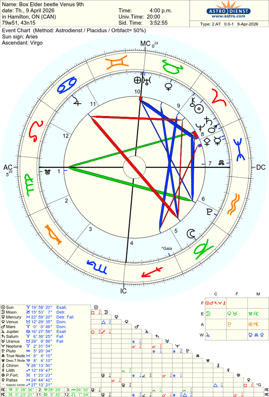 astro 2at box elder beetle venus 9th 74091 528302