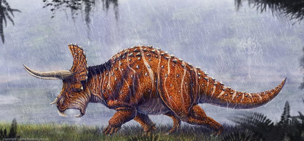 6695cae00e656af250bb5d76077b3da0