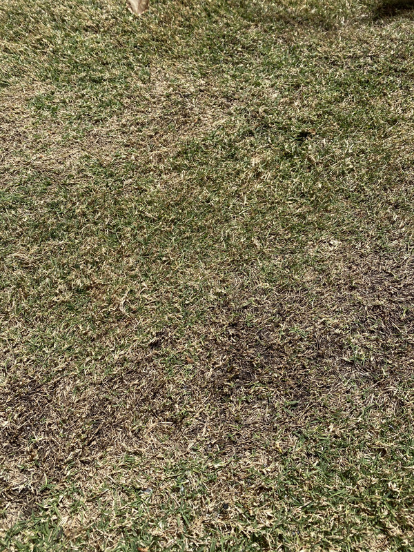 0348DAA5-5688-456B-B6C0-4C101214FEE0