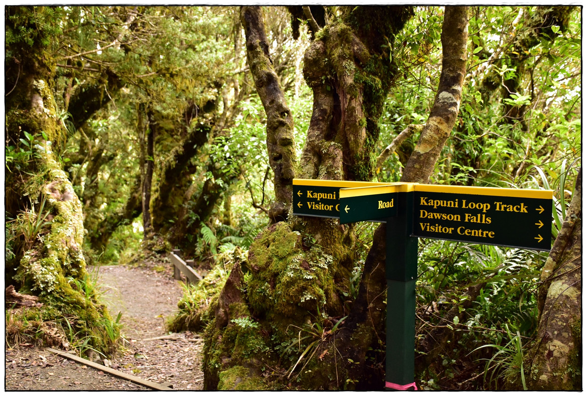 Taranaki: Three Sisters, Forgotten World Hwy, East Egmont NP (marzo 2021) - Escapadas y rutas por la Nueva Zelanda menos conocida (19)