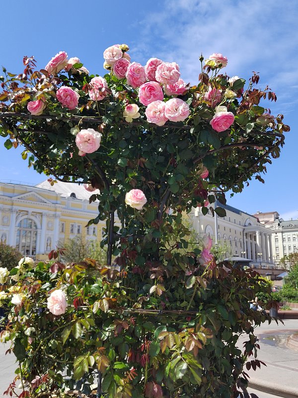 https://i.postimg.cc/kXg2YhRG/03-IMG-20250529-125706.jpg