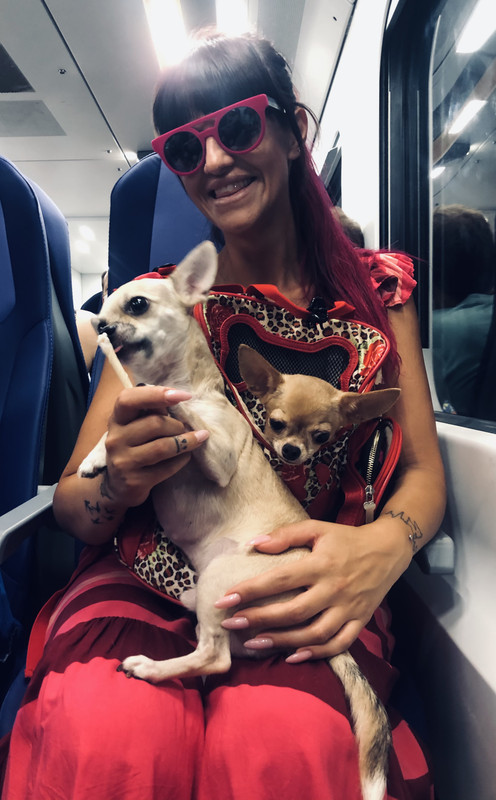 9E0DDFD3-6052-4447-B002-47377467E3C8