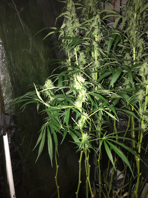 74BB9B30-2633-4C19-87A8-EC326F531AF4