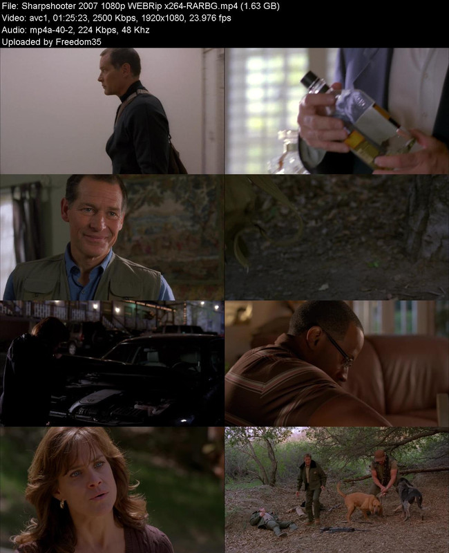 Sharpshooter-2007-1080p-WEBRip-x264-RARB