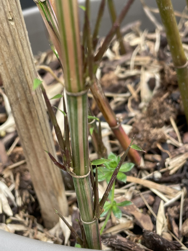 C00DEABB-4426-46D0-8050-6CD752C9D4C0