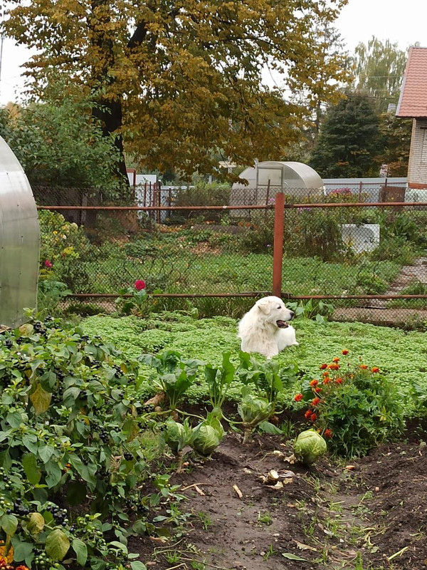 B11AFD43-08EC-45AE-BEAD-25F1266DAC0F