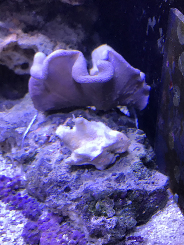 1873EAEE-52C2-46A4-A57F-6042259156A3