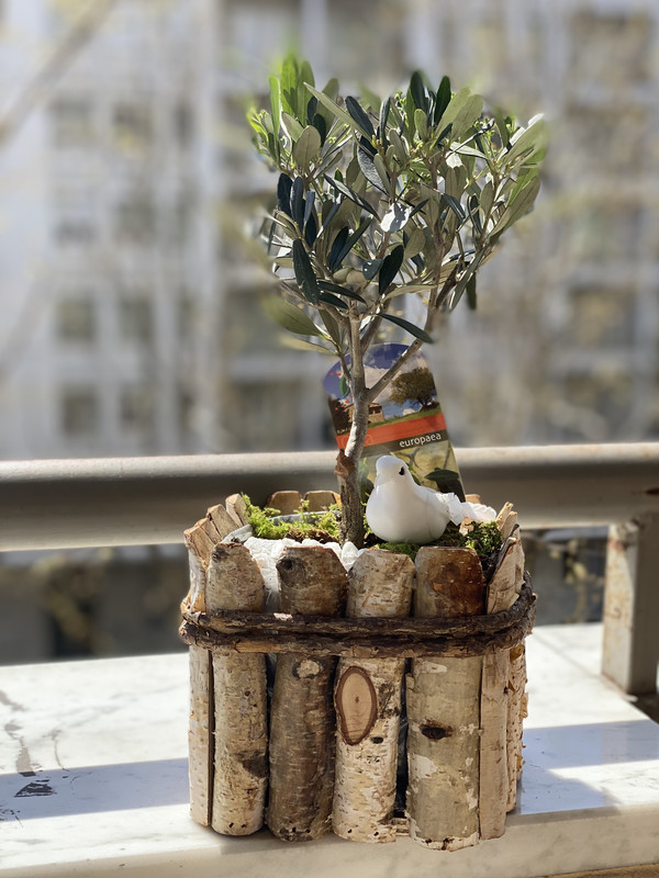 ED427AEF-FD22-445D-A6B4-CC6E4AB0775B