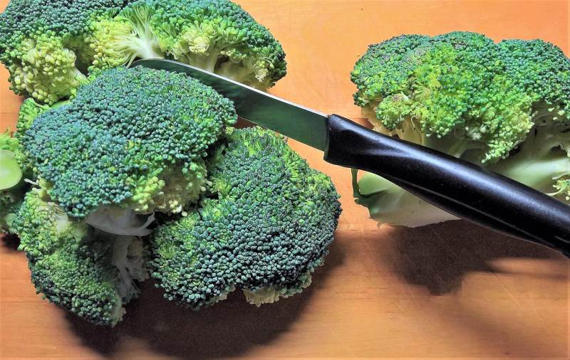 come conservare correttamente il broccolo nel frigorifero