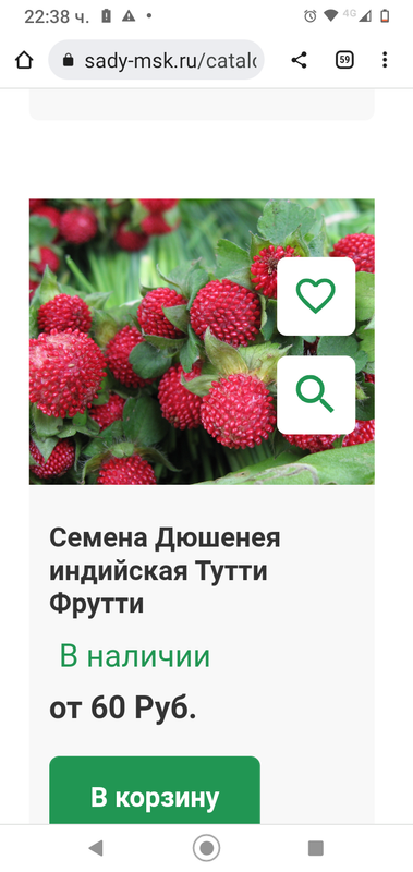 Screenshot_20221211-223819