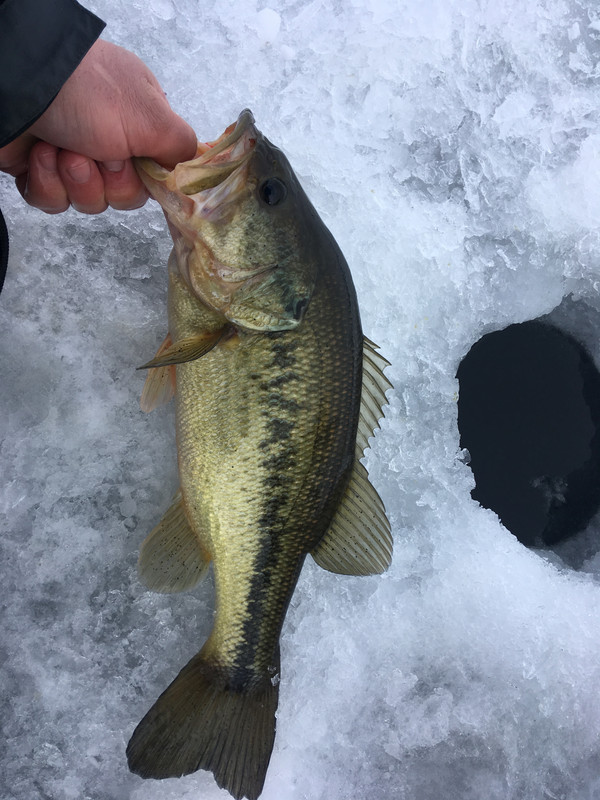 5B1A117E-2148-416D-ABA3-6A5F41454D1F