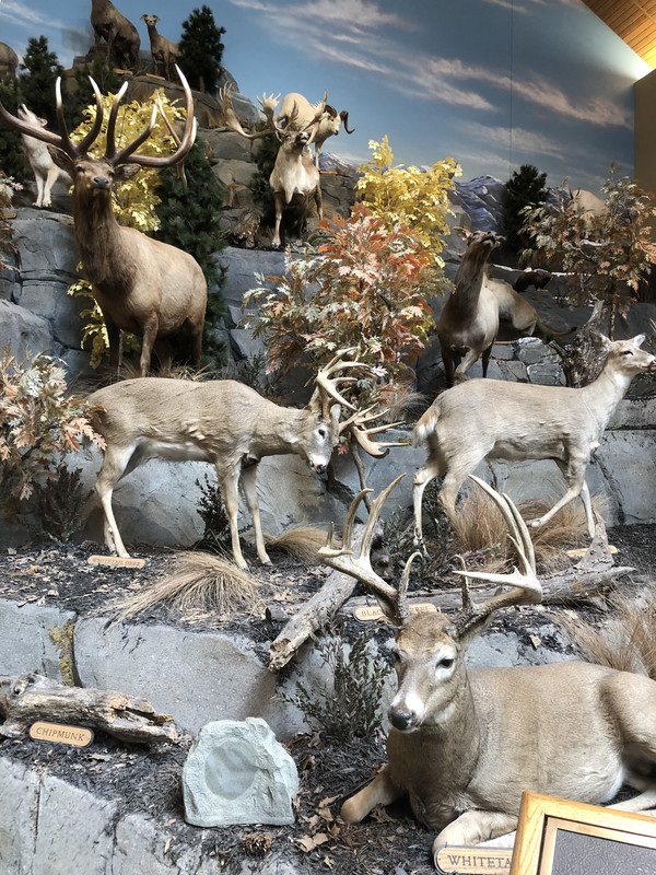 B1EC16B7-9D24-4E88-A402-7A10C73B5538