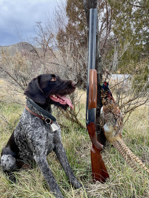 87986624-CB89-4D51-A5B6-E0BA8BDD7608