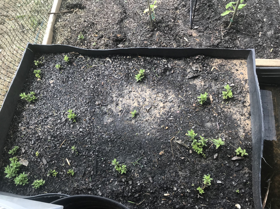 C51C6472-C89A-460C-81DD-6C2F89652823