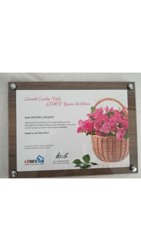 C93ACD0F-F47B-4F5B-845F-D7C6E01207B6