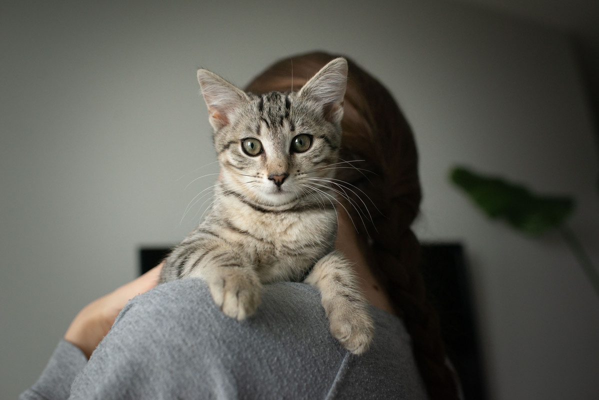 4026607C-4BFE-49D5-BB66-C21735782908