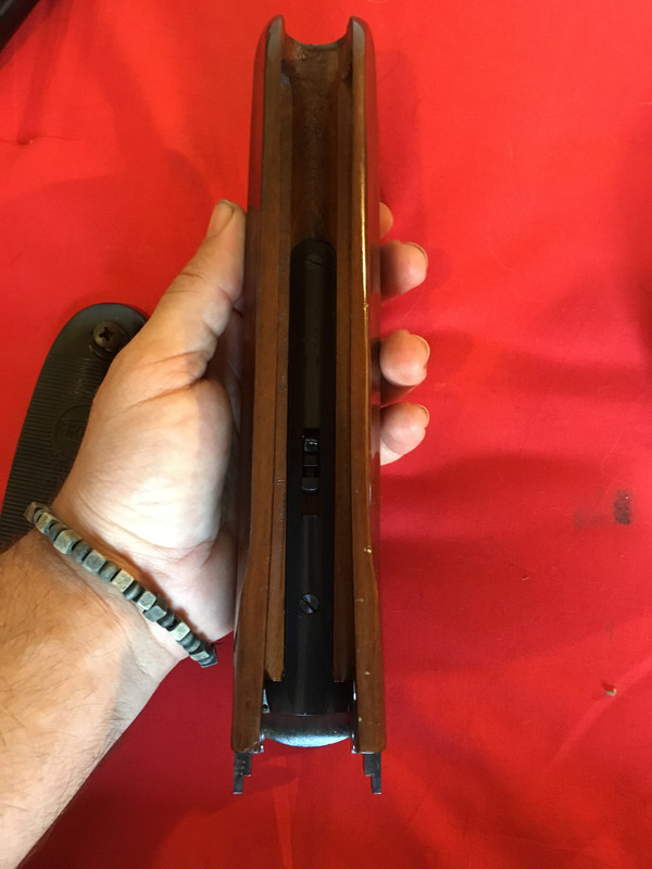 8C5B618D-2CBC-49BD-A530-44438773D55F