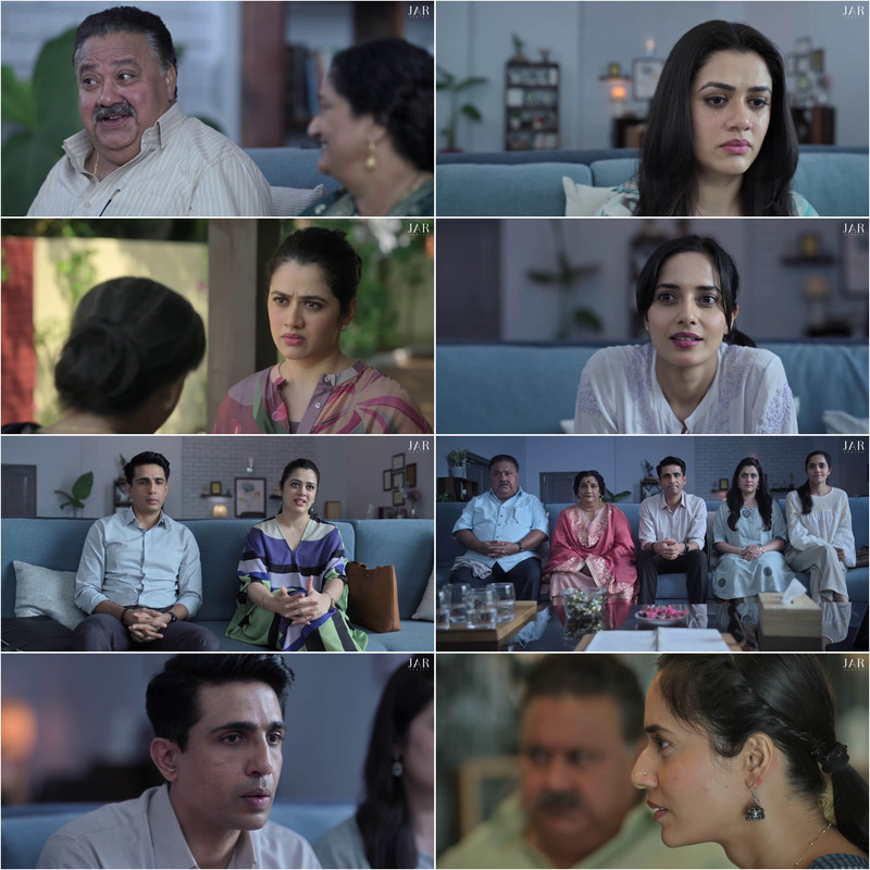 Perfect Family S1 (2025) Hindi Completed Web Series HD screenshot