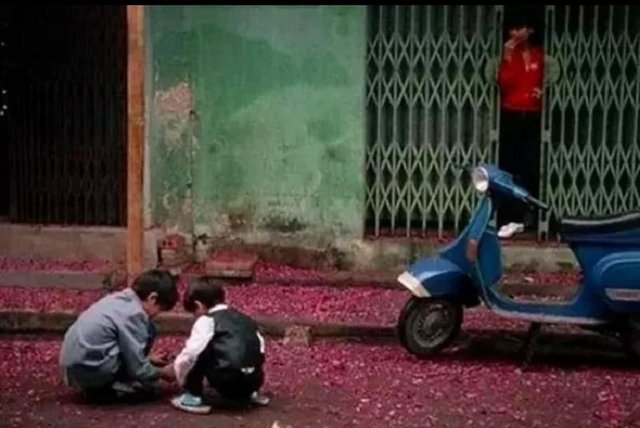 [Image: 61-DA1-EEE-12-B3-450-C-BB2-F-14-B15-A751-AC1.jpg]