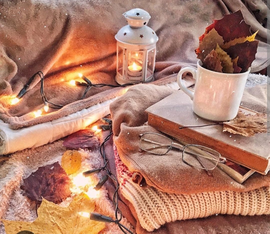 Screenshot_20221128-234229_Chrome