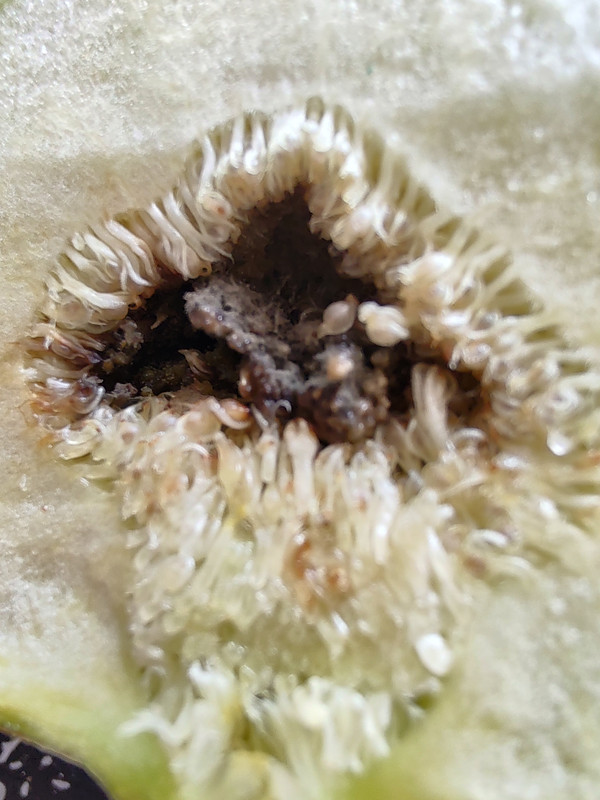 IMG_20230523_111916039_HDR