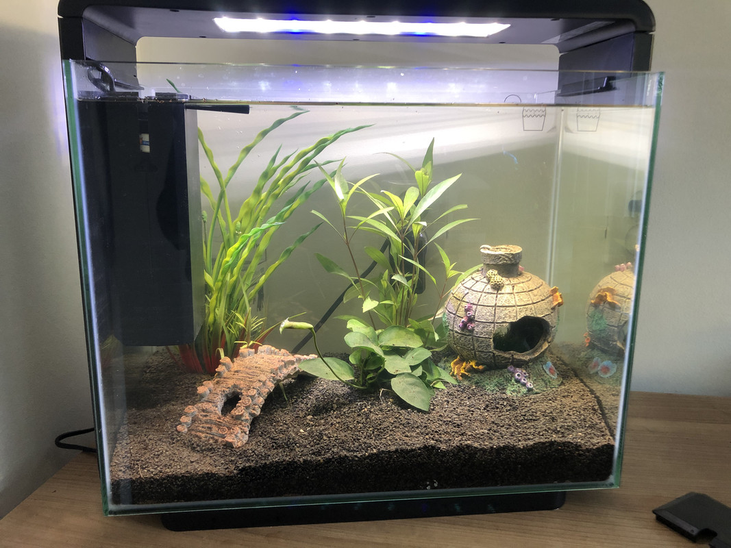 9067941C-5E5F-4A35-85B1-4A0C9A0E25C8