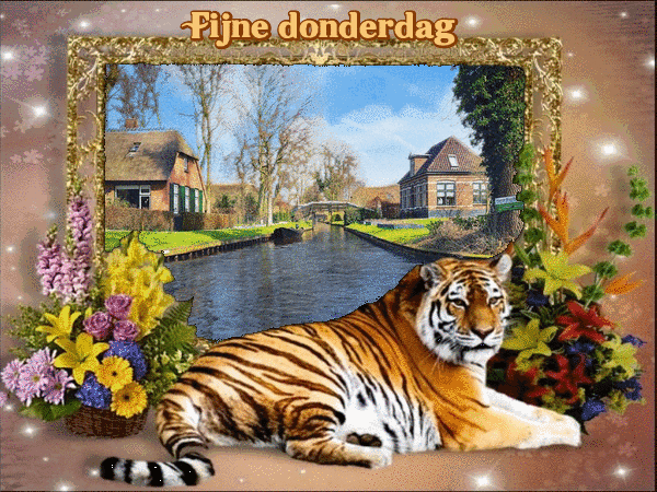 www.krabbelplaatjes.com