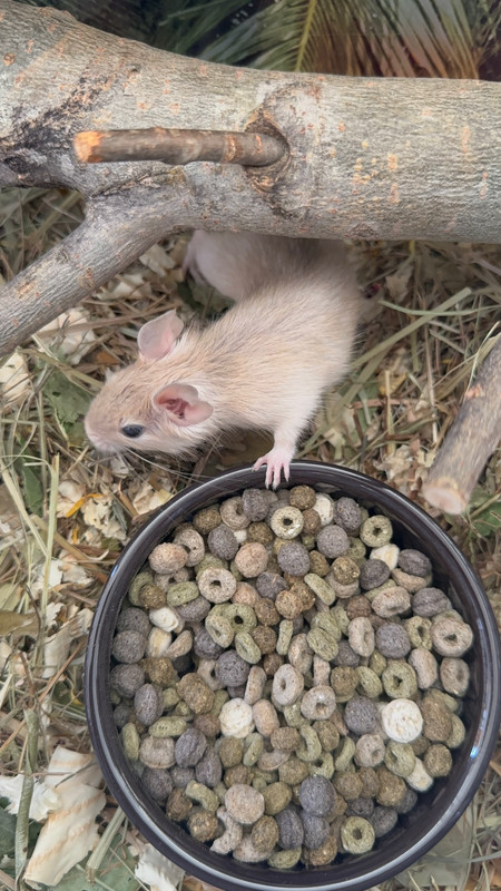 xpNZjz1rp-VP8lmt6B6Lpg7SGsAzozlbIg3AFGZPROlEnUEn3avuMZwquCuP9VhfpN5sns18wmPUxNL671O7Hfts