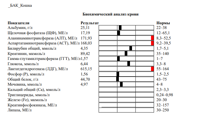 Snimok ekrana 2025 11 05 225126
