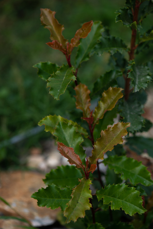 IMG-5ad5bc47db20495aebbf009dd93f5a4f-V