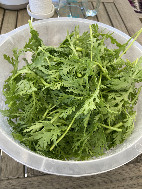 6DAC6A39-D1E0-440F-9743-6A99432E0874