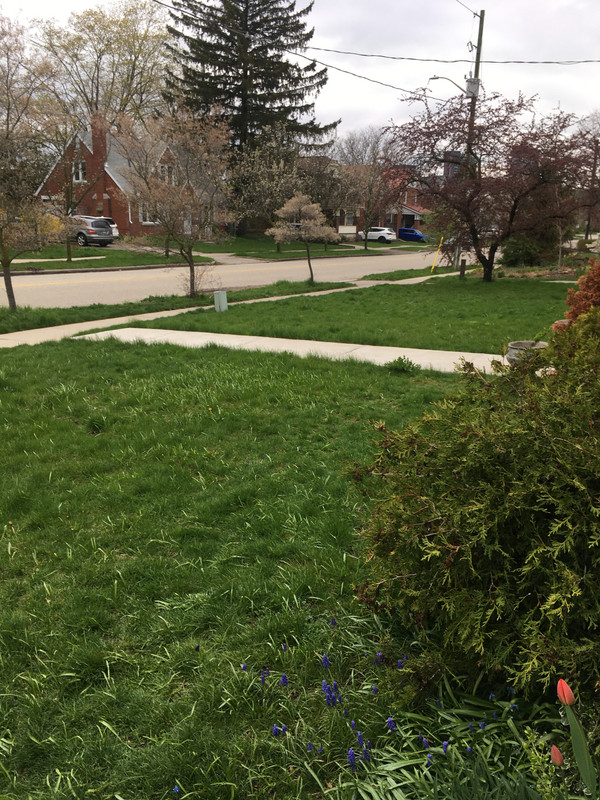 C5BA8212-3DEB-4ECF-A6A2-5A4A012B7E21