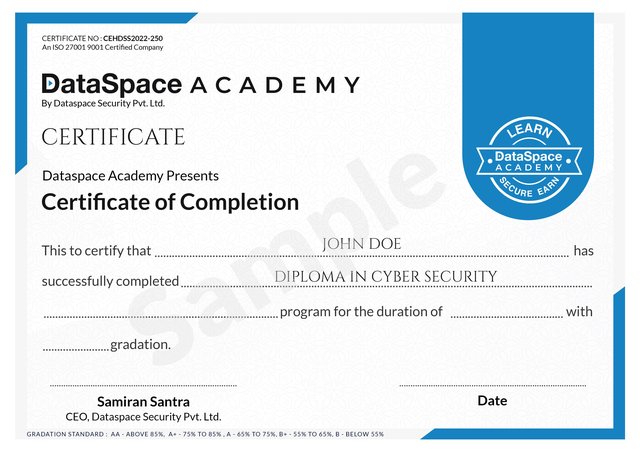 Professional Diploma In Cyber Security