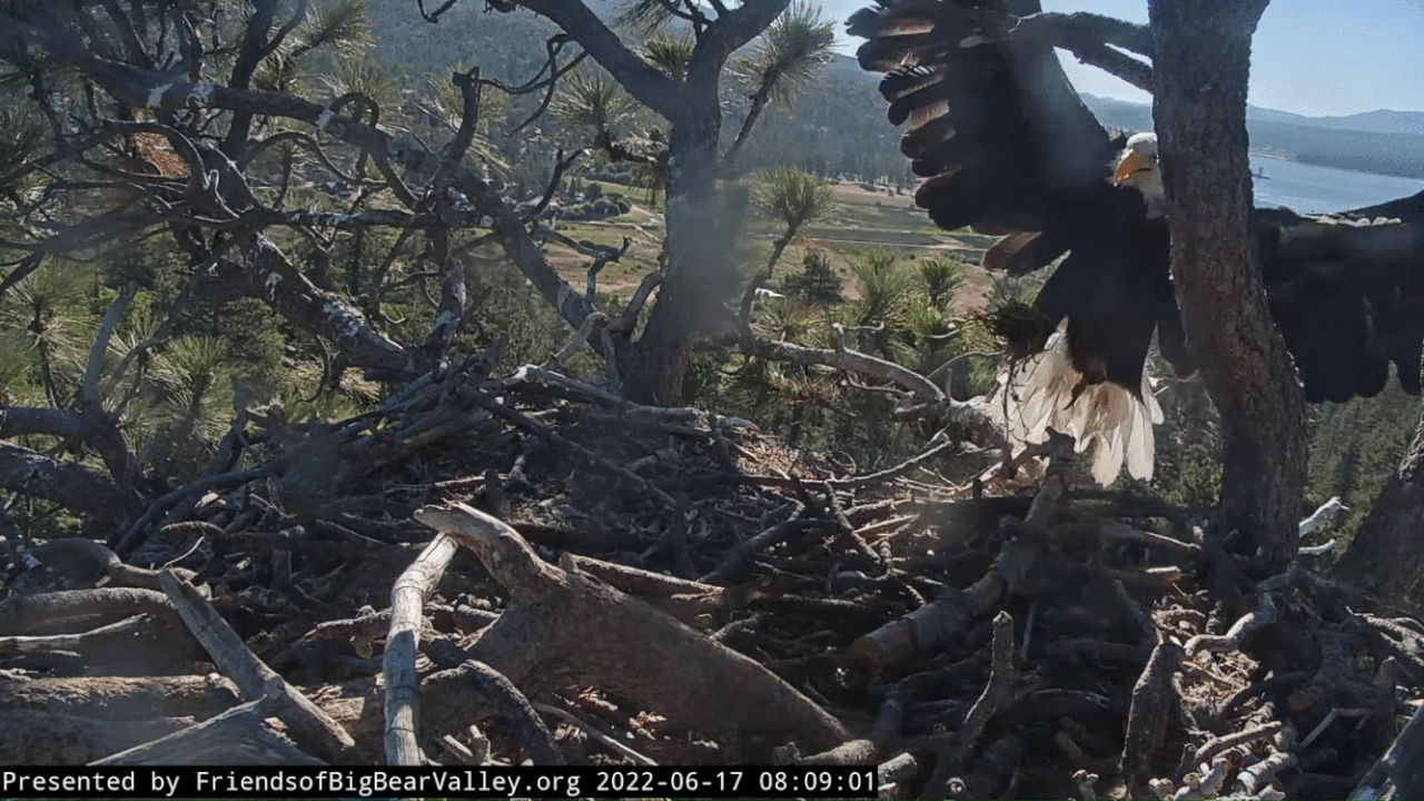 Webp.net-gifmaker (14)