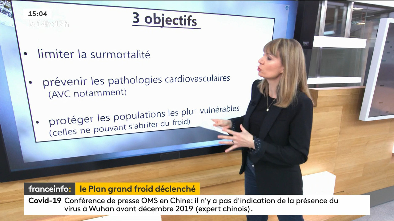 02.09 - 12.59.00 - Le 14h-17h. Au sommaire   Vrai ou fake. - francein..._001.ts_snapshot_00.23.430