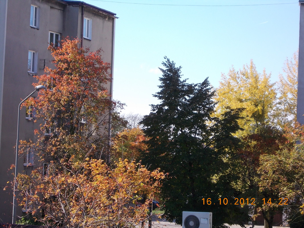 DSCN0886 — Postimages