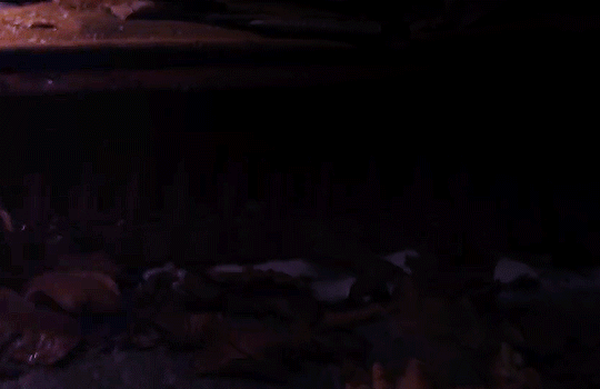 c7.gif