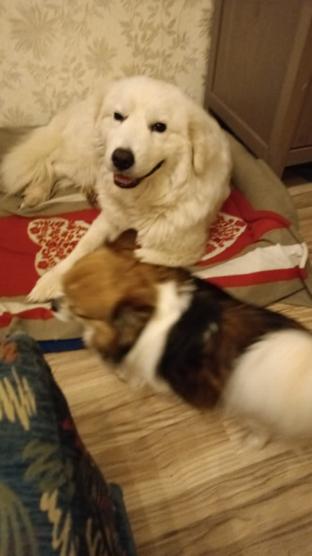 F8DC33E7-5FC4-4258-ADE4-A9ABA9B1557E