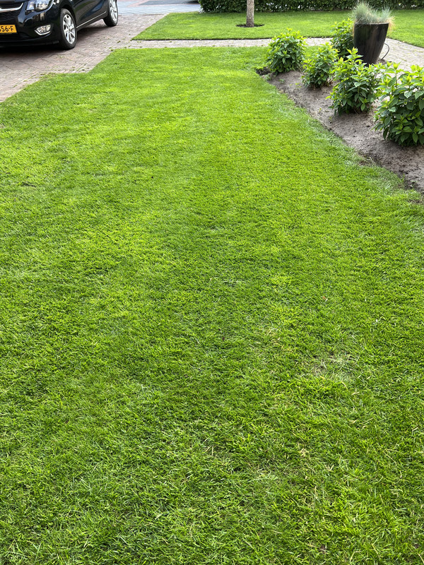 F794D1FE-05EF-46B0-BDF7-AF728B43732A