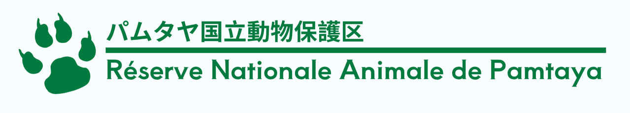 Logo Réserve Animale Nationale de Pamtaya